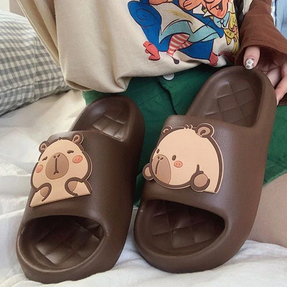 2026 new Cute Capybara Design  - đánh giá và giá Water Shoes