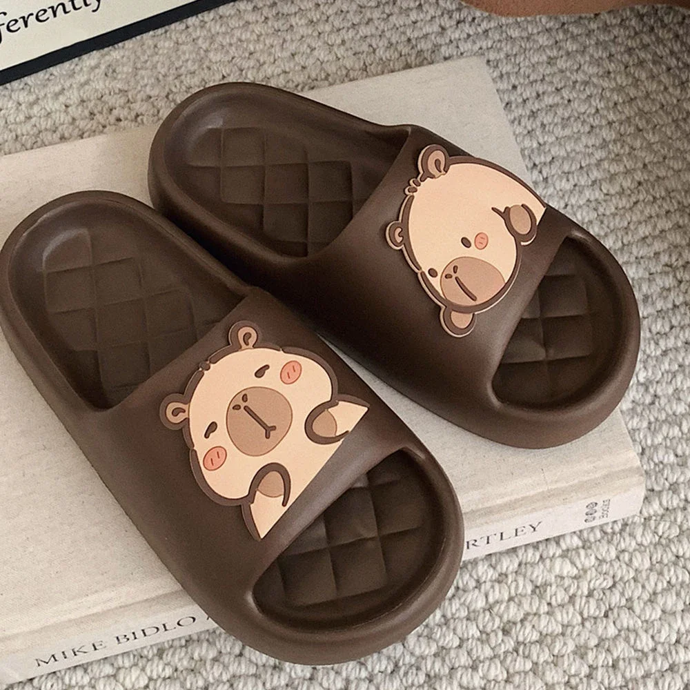 2026 new Cute Capybara Design  - đánh giá và giá Water Shoes